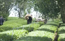 Khi nông sản trở thành tài sản du lịch