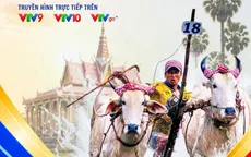 Rộn ràng ngày Hội đua bò chùa Rô