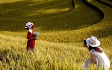 Lào Cai từng bước hình thành hệ sinh thái du lịch thông minh