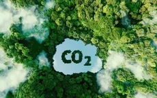 Đã có 1.300 hạn ngạch giao dịch trên sàn carbon trong nước