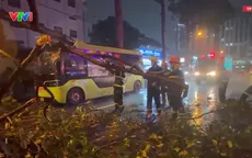 Cây xanh gãy nhánh đè trúng hai vợ chồng đi xe máy, 1 người tử vong