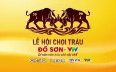 Chung kết Lễ hội chọi trâu Đồ Sơn - VTV 2026 (7h30, VTV6, VTVgo)