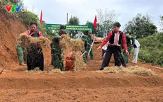Bộ đội Biên phòng giúp dân trồng rau, tạo sinh kế nơi biên giới