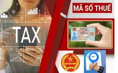 Được cấp mã số thuế, người nộp thuế cần kiểm tra ngay những thông tin này