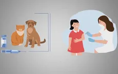 Bạn có chắc mình đã hiểu đúng về bệnh dại?