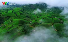 Chuyển đổi số mở lối du lịch xanh ở Long Cốc