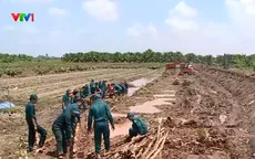 Vĩnh Long khẩn trương khắc phục sạt lở đê bao cồn Cái Gà, gia cố đê dự phòng