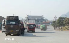 Tích hợp cổng một cửa cho hoạt động xuất nhập khẩu