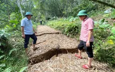 Thanh Hóa di dời khẩn cấp 180 người khỏi khu vực nguy cơ sụt lún, sạt lở
