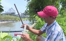 Chủ động trữ nước, ứng phó hạn hán, xâm nhập mặn