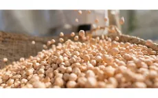 Áp lực về lương thực dự báo sẽ còn gia tăng
