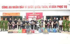 Khởi tố băng trộm bắt khoảng 2.700 con mèo ở TP Hồ Chí Minh