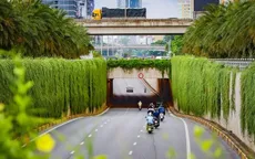 Hà Nội thí điểm phủ xanh trụ metro, cầu vượt và nhà chờ xe buýt