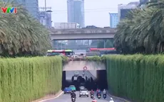 Hà Nội tận dụng hạ tầng sẵn có, tăng mảng xanh cho đô thị