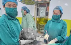 Cẩn trọng khi mang thai cùng khối u xơ tử cung
