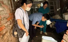 Hà Nội: Thêm 12 ổ dịch sốt xuất huyết phát sinh trong tuần qua
