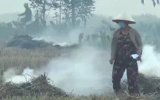 Hà Nội yêu cầu xử lý nghiêm hành vi đốt rơm rạ, phụ phẩm nông nghiệp