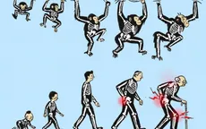 Nghiên cứu lý giải mối liên hệ giữa sự phát triển trí não và thoái hóa xương khớp ở người