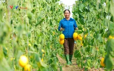 Tuyên Quang: Chính quyền đồng hành, nông dân đổi mới tư duy sản xuất