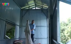 Những ngôi nhà chống lũ an toàn, phòng tránh thiên tai