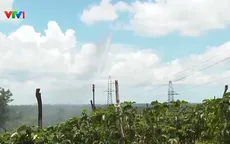 Chủ động ứng phó nguy cơ thiếu nước do El Nino