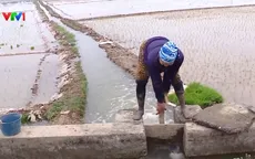 Cấp thiết phục hồi dòng chảy, cải thiện chất lượng nguồn nước cho sản xuất nông nghiệp