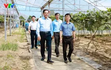 Người nông dân xứ Nghệ quyết tâm bắt “vùng đất khó” biến thành trang trại công nghệ cao