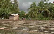 22 hộ dân ở Vĩnh Long thiệt hại vì ngập úng