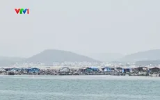 Trung Quốc kích hoạt cơ chế ứng phó khẩn cấp với bão Champi