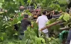 Cây phượng bật gốc đè chết người đàn ông trên vỉa hè