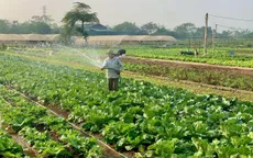 Ứng dụng công nghệ số, nâng tầm nông sản Thủ đô