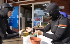 Những nữ thợ lặn cao tuổi gìn giữ di sản biển đảo Jeju