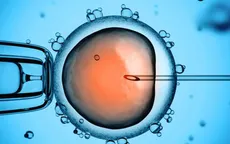 Tìm thấy gene liên quan đến vô sinh