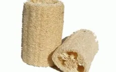 Tác dụng chữa bệnh của xơ mướp