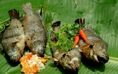 5 bài thuốc hữu hiệu từ cá rô đồng