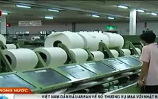 Việt Nam dẫn đầu ASEAN về số thương vụ M&A với Nhật Bản