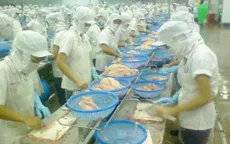 DN thuỷ sản chủ động đáp ứng nguồn nguyên liệu