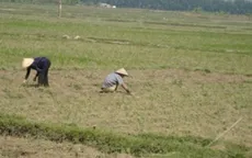 Miền Trung: Nắng nóng trên diện rộng