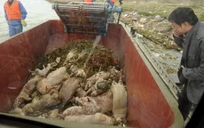 Lộ diện kẻ vứt xác heo trên sông Hoàng Phố