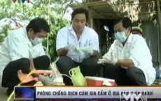Tăng cường phòng chống cúm gia cầm ở điạ bàn giáp ranh    