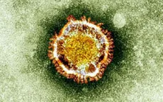 Virus "corona" có thể lây qua không khí