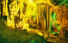 Kỷ niệm 10 năm Vườn Quốc gia Phong Nha – Kẻ Bàng 