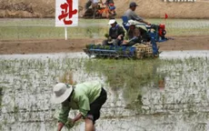 Triều Tiên cải cách nông nghiệp