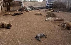 LHQ: Vũ khí hóa học đã được sử dụng tại Syria