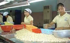 NHNN quyết tâm đưa lãi suất cho vay xuống dưới 13%/năm
