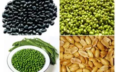 Cách sử dụng ngũ cốc hợp lý