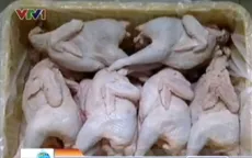 Gà nghi thải loại vẫn len lỏi vào chợ Hà Nội