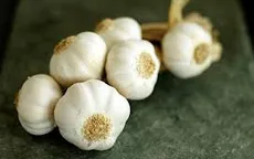 Tỏi đa công dụng
