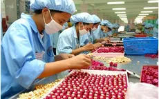 Doanh nghiệp nợ bảo hiểm trên 10.000 tỷ đồng