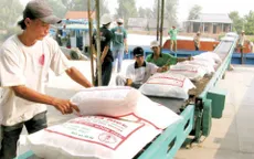 Việt Nam trúng thầu bán 187.000 tấn gạo sang Philippines